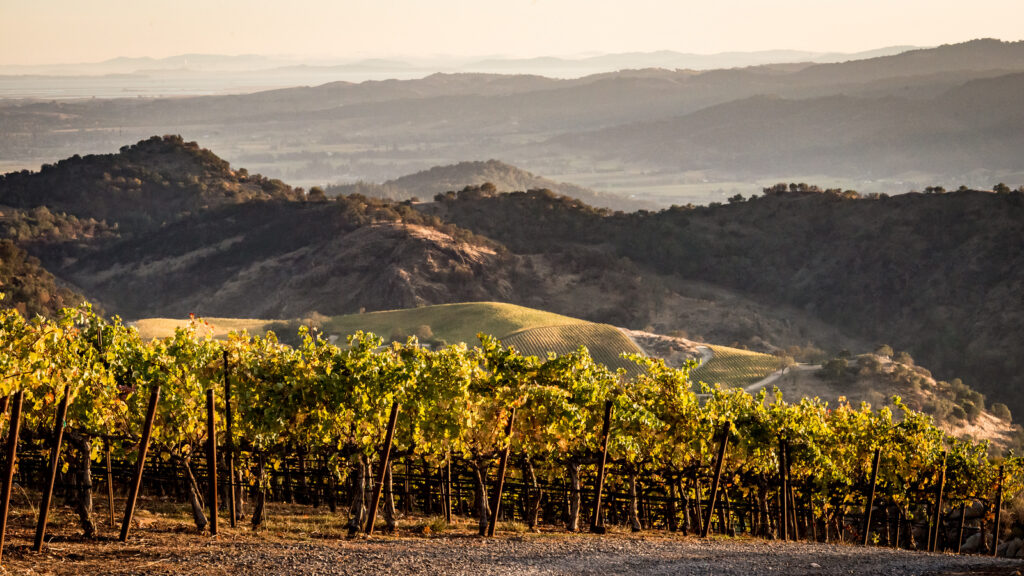 Napa Valley